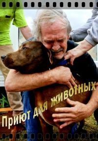 Приют для животных