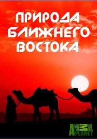 Animal Planet: Природа Ближнего Востока