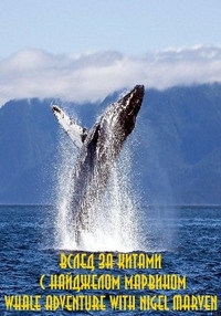 Вслед за китами с Найджелом Марвином