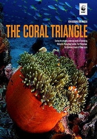 Великие тайны Кораллового треугольника