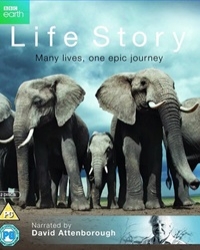 История жизни