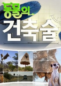 Животные-строители