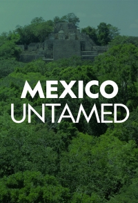 Непокорная Мексика