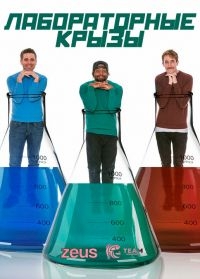 Лабораторные крыЗы