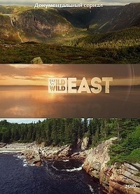 Дикий, дикий восток