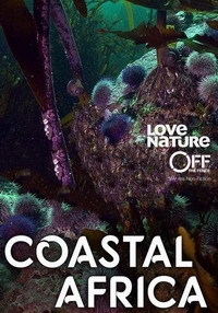 Берега Африки