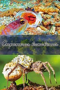 Стратегия жизни