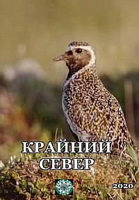 Крайний север