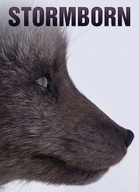 Рожденные бурей