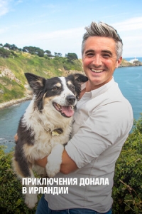 Приключение Донала в Ирландии