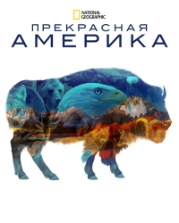 Прекрасная Америка