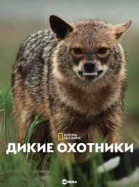 Дикие охотники