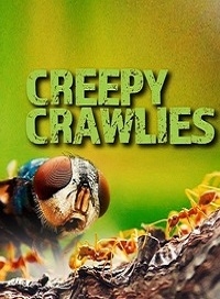 Пугающие артроподы