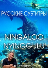 Нингалу