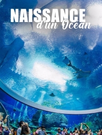 Рождение океана