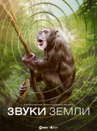 Звуки Земли
