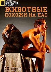 Животные похожи на нас