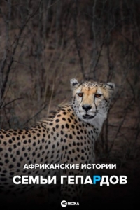 Африканские истории семьи гепардов
