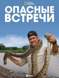 Опасные встречи