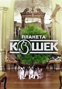 Планета кошек