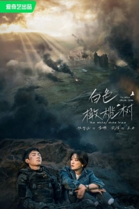 Белое оливковое дерево