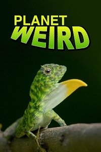 Странная планета (2024)