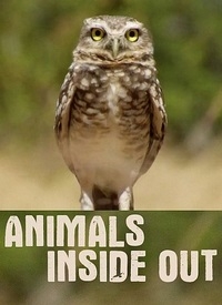 Животные от и до