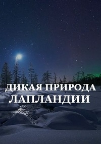 Дикая природа Лапландии