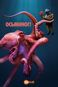 Осьминог!