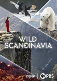 Дикая природа Скандинавии (2023)