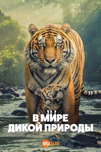 В мире дикой природы (2025)
