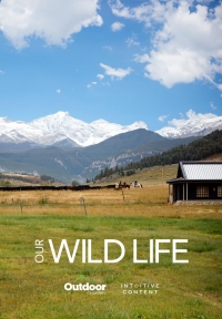 Наша дикая жизнь