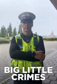 Большие маленькие преступления