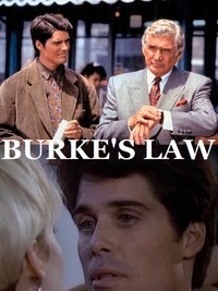 Правосудие Берка