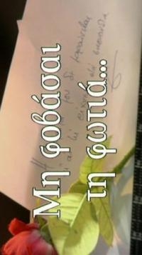 Шелковая тень